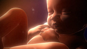 miracleofbaby